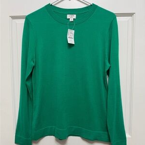 NEW NWT J. Crew Factory Cotton Teddie Sweater Color: (DGR) Green